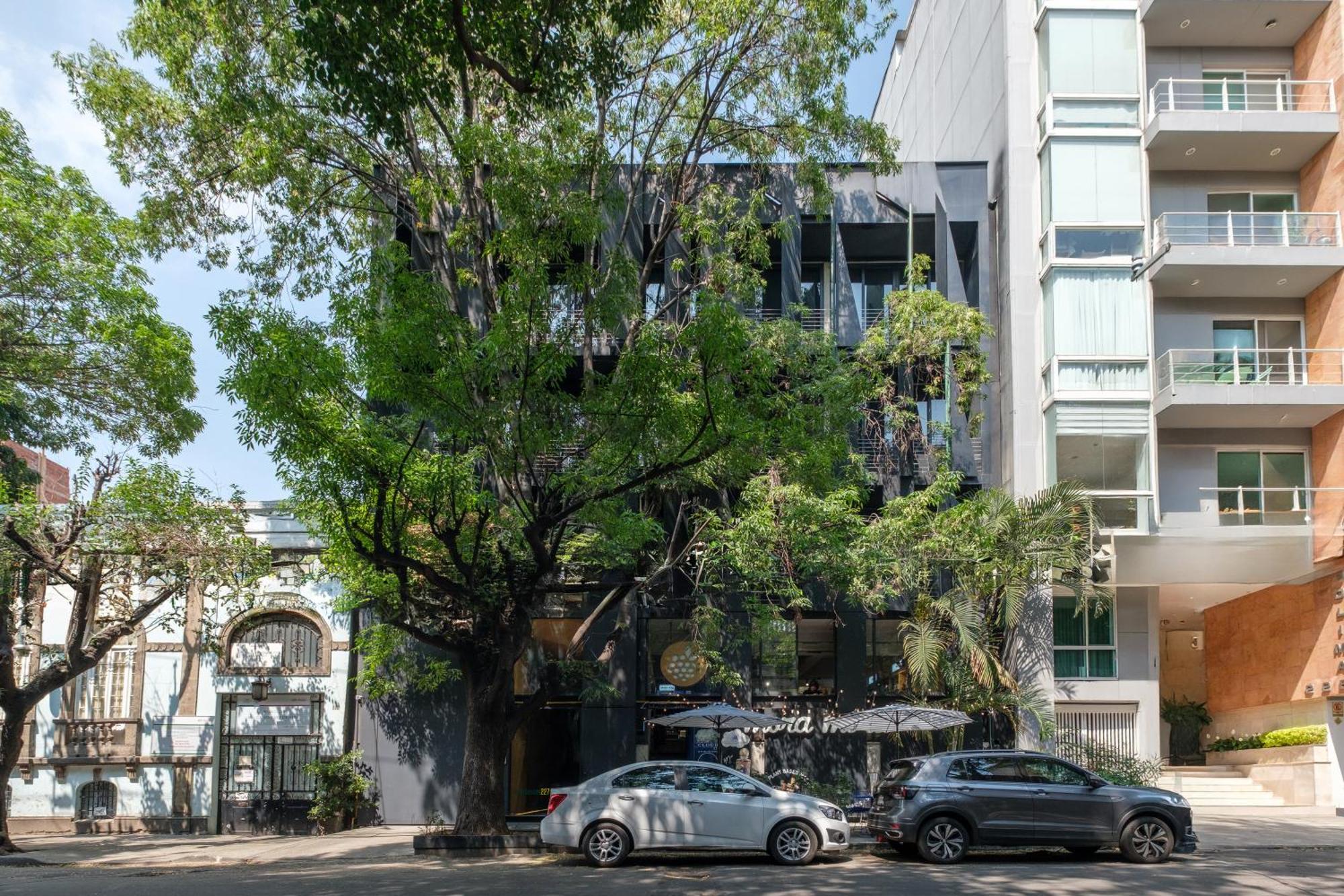 Boga Mexico City By Lumina Exterior photo